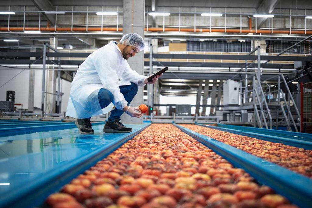 Revolutionizing Food Processing: The Future of the Industry