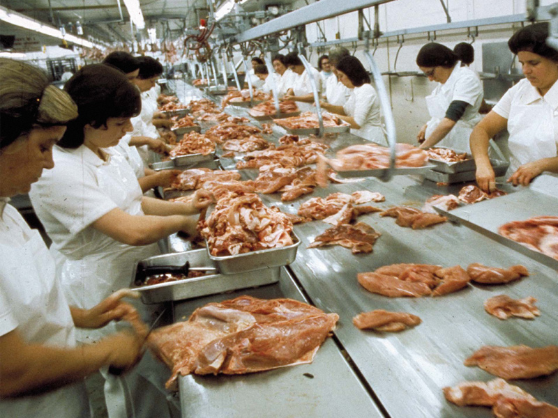 Behind the Scenes: The Science of Food Processing
